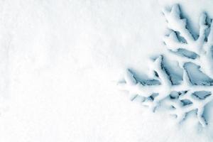 Wald im Frost. Winterlandschaft. schneebedeckte Bäume. foto