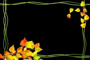 Blätter im Herbst auf schwarzem Hintergrund isoliert. foto