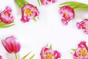 helle und bunte blumen tulpen foto