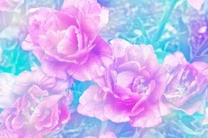 helle und bunte blumen tulpen foto