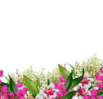 Orchideenblüte isoliert auf weißem Hintergrund foto