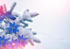 schneebedeckte Bäume. festliche weihnachtskomposition. Karte. foto