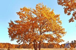 Herbstlandschaft mit leuchtend buntem Laub. Indischer Sommer. foto