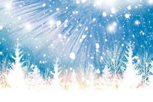 Neujahrskarte. gefrorener Winterwald mit schneebedeckten Bäumen. foto