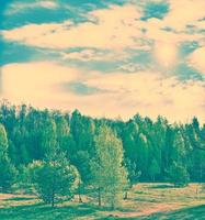 Landschaft mit den hellgrünen Bäumen und dem blauen Himmel. foto