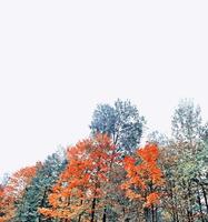 Herbstlandschaft mit leuchtend buntem Laub. Indischer Sommer. foto