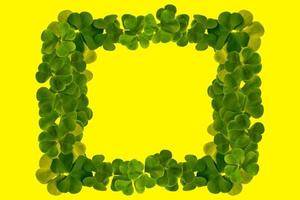 grüne Kleeblätter isoliert auf gelbem Hintergrund. St.Patrick's Day foto