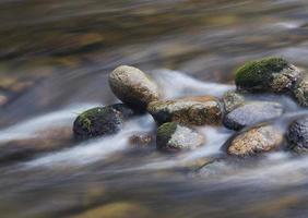 Steine im Wasser foto