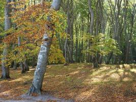 die Insel Rügen foto