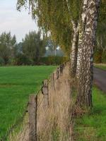 Herbstzeit in Westfalen foto