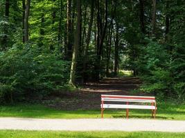 Sommerzeit in einem deutschen Park foto