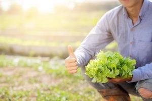 Junger asiatischer Bauer, der frischen Bio-Salat aus grüner Eiche hält und zeigt, Daumen nach oben auf dem Bauernhof, Erzeugnis und Anbau für Erntelandwirtschaftsgemüse mit Geschäft, gesundem Lebensmittelkonzept. foto