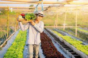Portrait junger asiatischer Mann zu Fuß Ernte und Abholung von frischem Bio-Gemüsegarten im Korb in der Hydroponik-Farm, Landwirtschaft und Anbau für gesunde Ernährung und Geschäftskonzept. foto