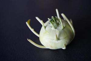 deutsche Rübe oder Kohlrabi, ein seltsames Gemüse mit schwarzem Hintergrund foto