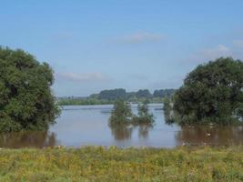 der rhein bei bislich foto