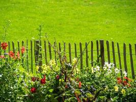 Sommerzeit in einem deutschen Park foto