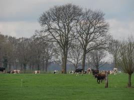 Eibergen in den Niederlanden foto