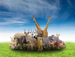 Gruppe afrikanischer Tiere foto