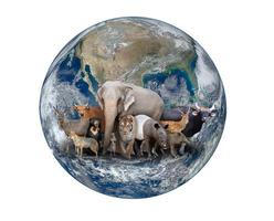 Gruppe asiatischer Tiere mit Planetenerde foto
