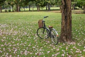 Fahrrad mit im Park natürlichen Hintergrund foto