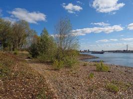 der rhein bei wesel foto