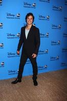 los angeles, 4. aug - peter gadiot kommt am 4. august 2013 zur abc sommer 2013 tca party im beverly hilton hotel in beverly hills, ca foto