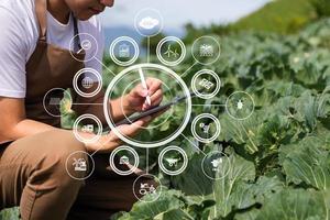 landwirtschaftstechnologie bäuerin, die tablet- oder tablet-technologie hält, um über landwirtschaftliche probleme zu recherchieren, analysedaten und visuelle symbole.intelligente landwirtschaft foto