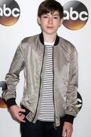 los angeles, aug 4 - mason cook bei der abc tca sommerparty 2016 im beverly hilton hotel am 4. august 2016 in beverly hills, ca foto