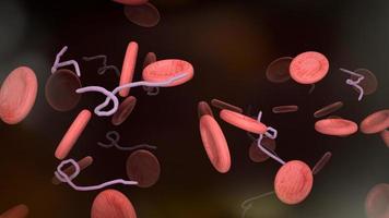 das virus ebola und blut für wissenschaftliche und medizinische inhalte 3d-rendering foto