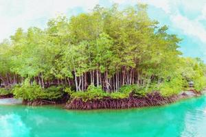 die Waldmangrove mit blauem Himmelshintergrund, digitaler Malstil des Aquarells foto
