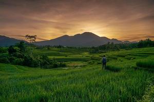 Indonesiens außergewöhnliche Naturkulisse. Blick auf einen sonnigen Morgensonnenaufgang in den Reisfeldern mit einem Fotografen foto