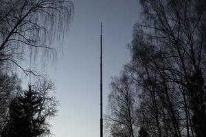 Kommunikationsantenne zwischen Bäumen. Säule von großer Höhe. foto