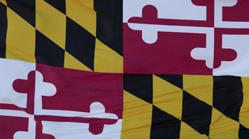 Flagge des Bundesstaates Maryland, Region der Vereinigten Staaten, weht im Wind. 3D-Darstellung foto