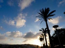 Hintergrundbeleuchtete Palmen an der katalanischen Costa Brava, Spanien foto