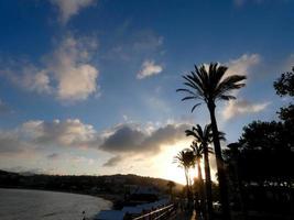 Hintergrundbeleuchtete Palmen an der katalanischen Costa Brava, Spanien foto