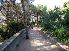 Küstenpfad in der Costa Brava, im Pinienwald und im blauen Meeresgebiet. foto