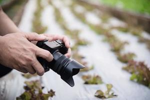 Bauernmann, der in seinem Bio-Salatgarten arbeitet - kluge Bauern in einem sauberen Bio-Landwirtschaftskonzept foto