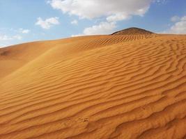 Sanddünen in der Wüste foto