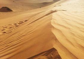 Sanddünen in der Wüste foto