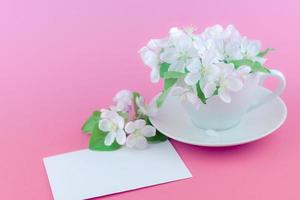 weißer Frühlingsapfelbaum blühende Blumen in einer Tasse foto