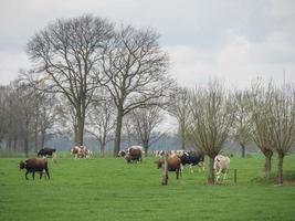 Eibergen in den Niederlanden foto