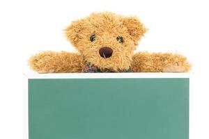 Teddybär mit leerem grünem Brett foto