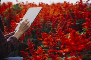 landwirtschaftstechnologie bäuerin mit tablet- oder tablet-technologie, um über landwirtschaftliche probleme zu recherchieren, analysedaten und visuelle symbole. foto