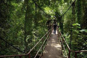 Reisender auf Brücke und Regenwald foto
