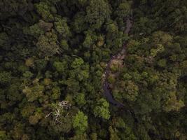 Luftaufnahme des Regenwaldes
