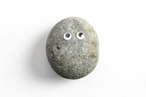 Pet Rock mit Kulleraugen foto