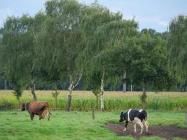 das kleine dorf weseke in westfalen foto