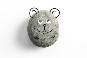 Pet Rock mit Kulleraugen foto