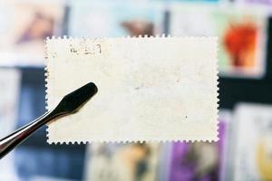 Zange hält Briefmarke mit unbenutzter Rückseite foto
