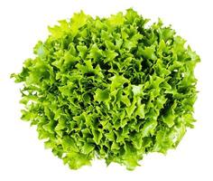 Draufsicht auf grüne Blätter von lockigem Salat isoliert foto